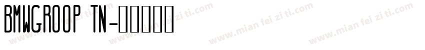 BMWGROOP TN字体转换